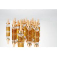Energy Full Goldberry Ampoule - Ампулы "Энергия красного женьшеня"